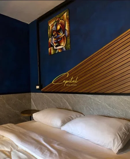 Tirane, shitet garsonier 1+1 Kati 1, 55 m² 160.000 € (LAPRAKE)