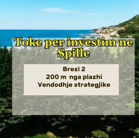 Spille, shitet truall ne bregdet , 2.800 m² 224.000 € (Spille,Kavaje)