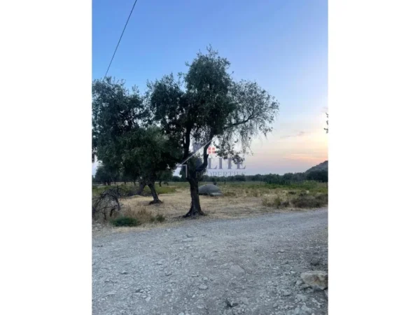 Borsh, shitet truall , 2.150 m² 301.000 € (Borsh)