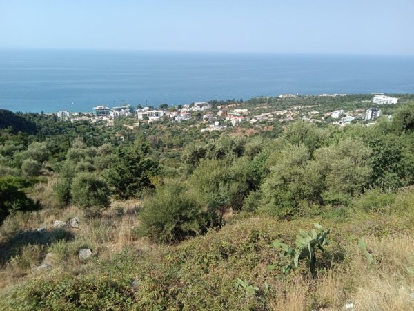Dhermi - Palase, shitet toke , 3.400 m² 500.000 € (Dhermi Fshat)