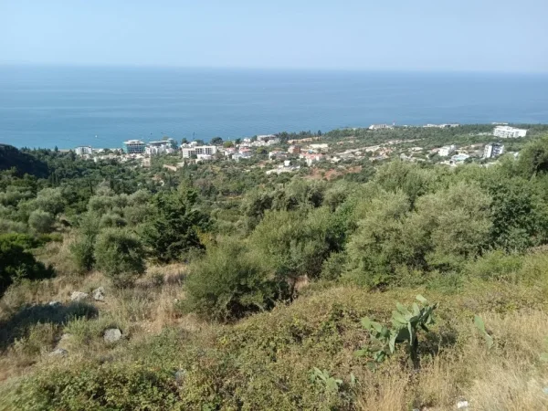 Dhermi - Palase, shitet toke , 3.400 m² 500.000 € (Dhermi Fshat)
