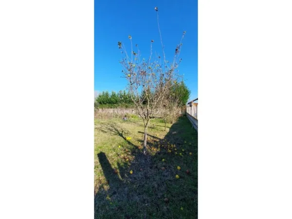 Tirane, shitet truall , 1.316 m² 65.000 € (pranë Aeroportit Ndërkombëtar të Tiranës)