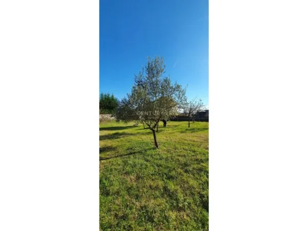 Tirane, shitet truall , 1.316 m² 65.000 € (pranë Aeroportit Ndërkombëtar të Tiranës)