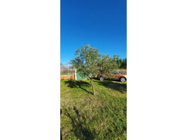 Tirane, shitet truall , 1.316 m² 65.000 € (pranë Aeroportit Ndërkombëtar të Tiranës)