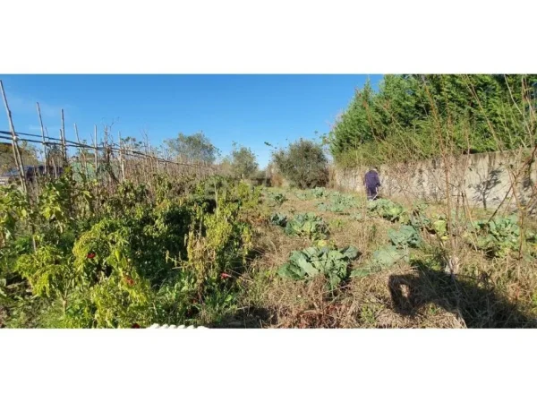 Tirane, shitet truall , 1.316 m² 65.000 € (pranë Aeroportit Ndërkombëtar të Tiranës)