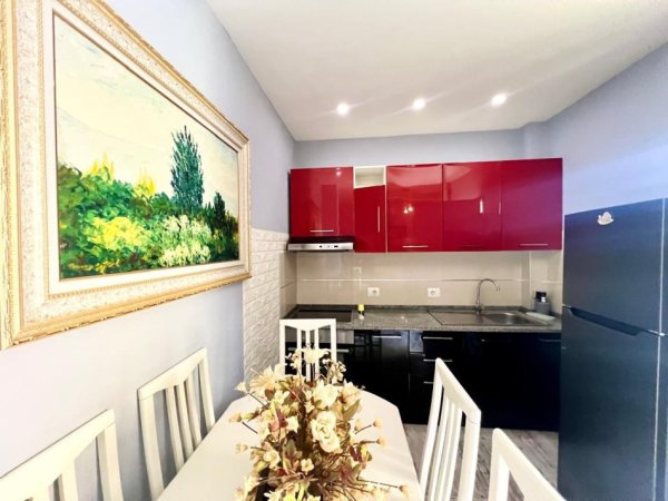 Tirane, jepet me qera apartament 1+1 Kati 1, 55 m² 500 € (Vilat gjermane)