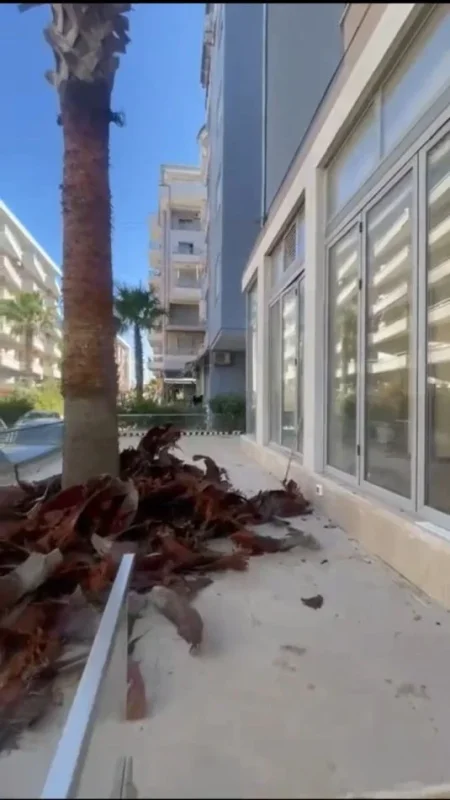 Durres, shitet ambjent biznesi Kati 0, 261 m² (Plazh,Durres)