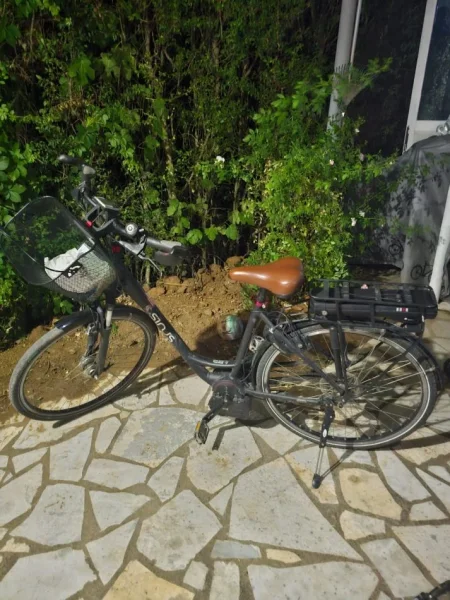 Shes E-bike , gri e erret 650 €