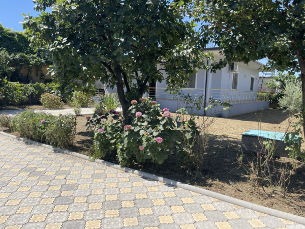 Shkoder, jepet me qera shtepi 2+1+Ballkon Kati 1, 200 m² 300 € (teodor ipen)