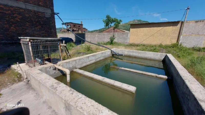 Elbasan, SHITET BIZNES FURRE  INDUKTIVE  – KAPACITET 0.5 TON