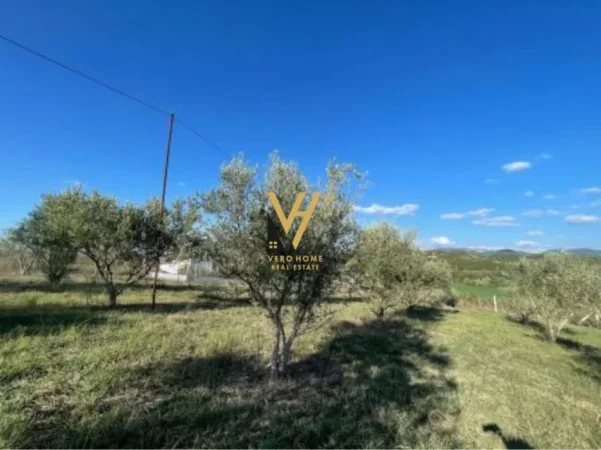 Tirane, shitet toke , 12.700 m² 760.000 € (PRANE RESORT DAJTI OAZ)