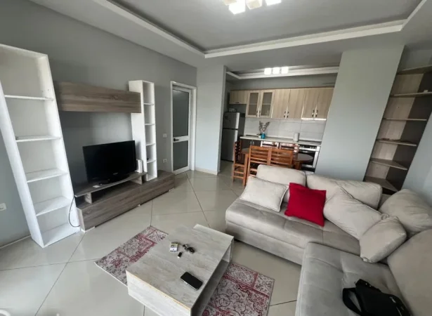 Tirane, jap me qera apartament 1+1 Kati 2, 450 € 