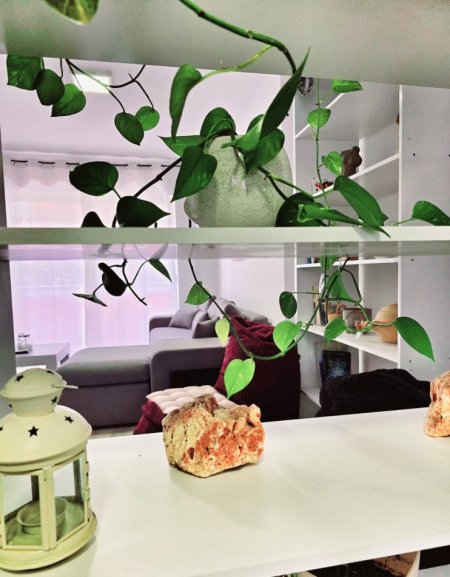 Tirane, jepet me qera apartament 1+1 Kati 4, 62 m² 600 € (Pazari i Ri)