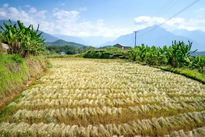 Tirane, shitet toke , 8.536 m² 420.000 € (FUSHE PREZE)