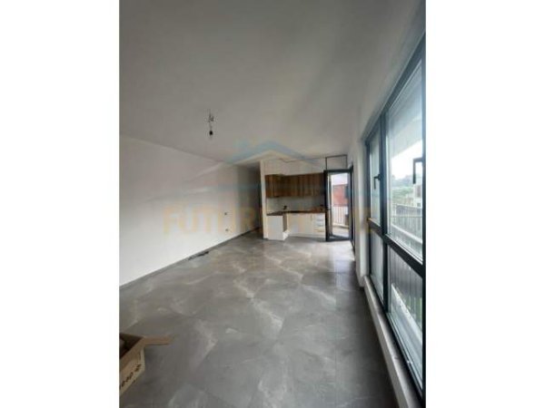 Tirane, jepet me qera apartament 1+1 Kati 2, 70 m² 500 Euro (Liqeni i Thate)