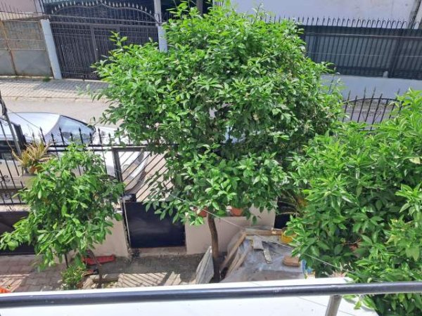 Tirane, jepet me qera apartament 2+1+BLK Kati 2, 71 m² 480 Euro (haxhi isuf banka)