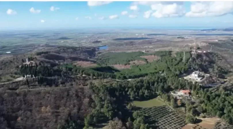 Fier, shitet toke , 11.400 m² (Kodrat e Ardenices)