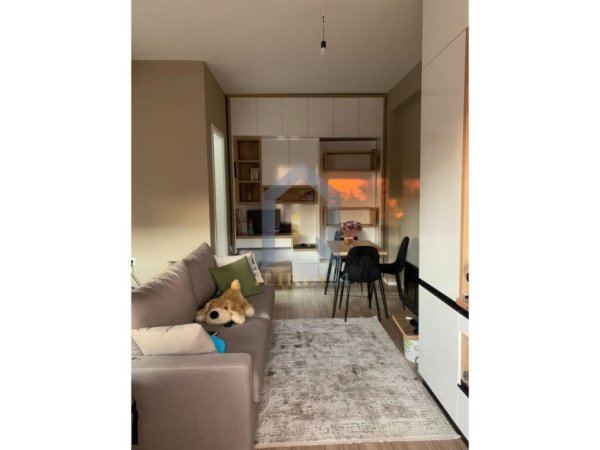 Tirane, shes garsonier 1+1 Kati 1, 42 m² 66.000 € (Ali Dem Mangalem)