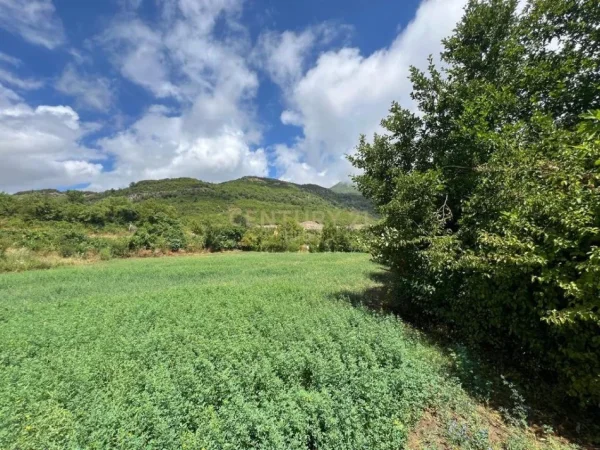 Tirane, shitet toke bujqesore , 4.000 m² 129.000 € (Krrabe)