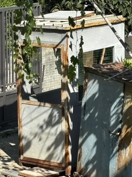 Tirane, shes Shitet Kabina/Kioska