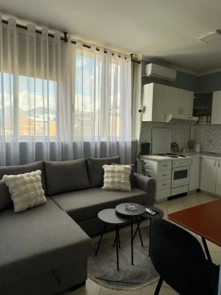 Tirane, jepet me qera apartament 1+1 Kati 5, 48 m² 540 € (Rruga e Durrësit)