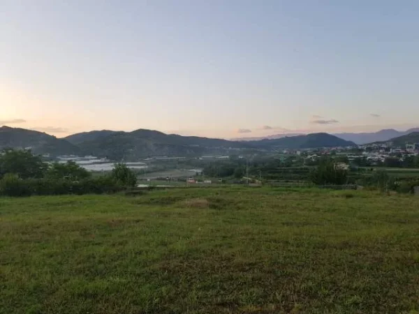 Tirane, shes truall  buze rruge 3.000 m²  -  (Peze e Vogel).