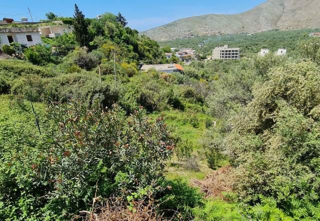 SHITET TOKË ULLISHTE NË FSHATIN QEPARO, HIMARË 1.525 m² 167.750 Euro