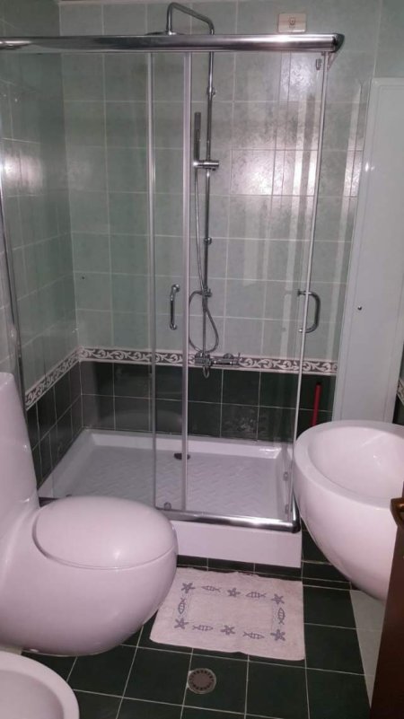 Tirane, jap me qera apartament 1+1+BLK Kati 2, 84 m² 400 Euro (Sheshi Avni rustemi)