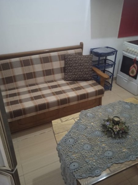 Tirane, jepet me qera apartament 1+1 Kati 0, 60 m² 250 € (Rruga e Thesarit ne Fresk)