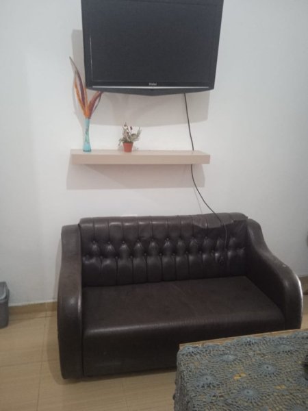 Tirane, jepet me qera apartament 1+1 Kati 0, 60 m² 250 € (Rruga e Thesarit ne Fresk)