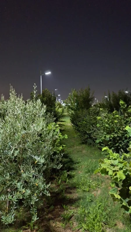 Durres, shes toke , 5.000 m² 250.000 € (4 rruget e Shijakut)