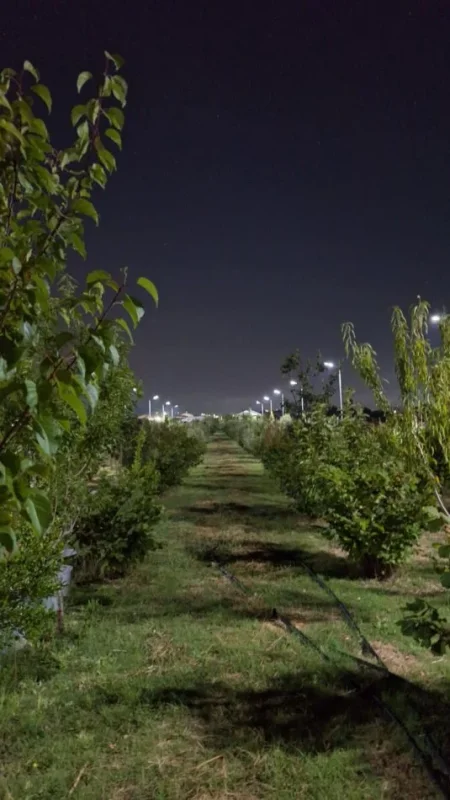 Durres, shes toke , 5.000 m² 250.000 € (4 rruget e Shijakut)