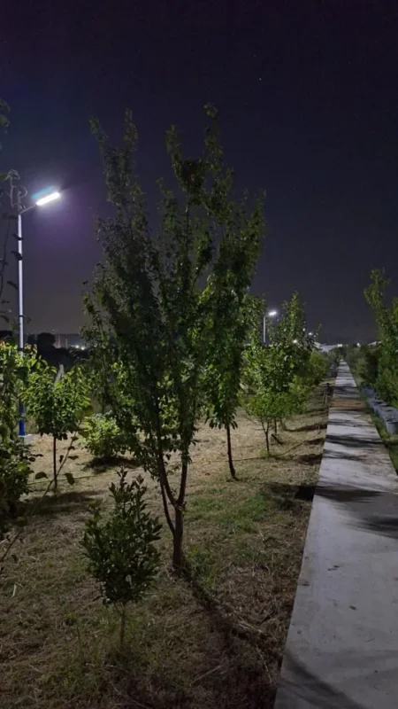 Durres, shes toke , 5.000 m² 250.000 € (4 rruget e Shijakut)