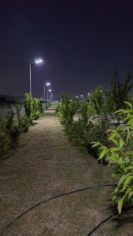Durres, shes toke , 5.000 m² 250.000 € (4 rruget e Shijakut)