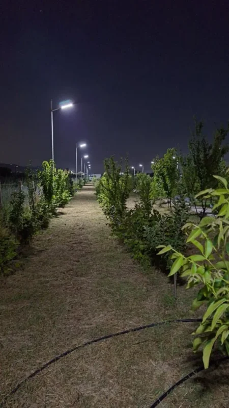 Durres, shes toke , 5.000 m² 250.000 € (4 rruget e Shijakut)