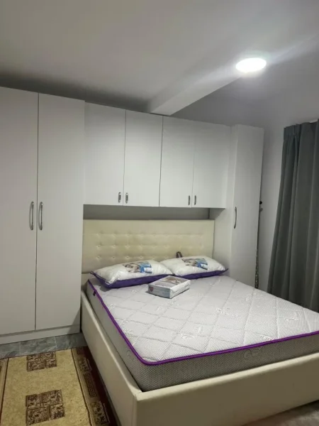 Tirane, jepet me qera apartament 1+1 Kati 0, 65 m² 350 € (Rr hamfi sulcebe)
