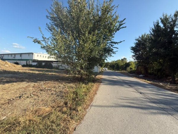 Tirane, shitet truall , 4.976 m² 600.000 € (Berxulle)