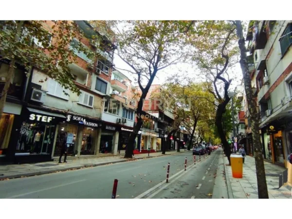Tirane, shitet ambjent biznesi Kati 0, 44 m² 214.000 € (Neom119687)