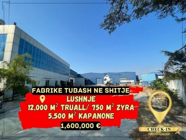 Lushnje, shitet magazine Kati 0, 12.000 m² 1.600.000 Euro (Lushnje)