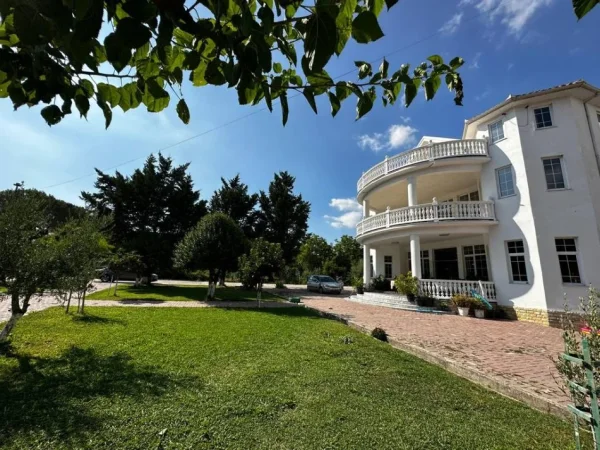 Tirane, jepet me qera ambjent biznesi , 3.700 m² 5.000 € (Mullet)