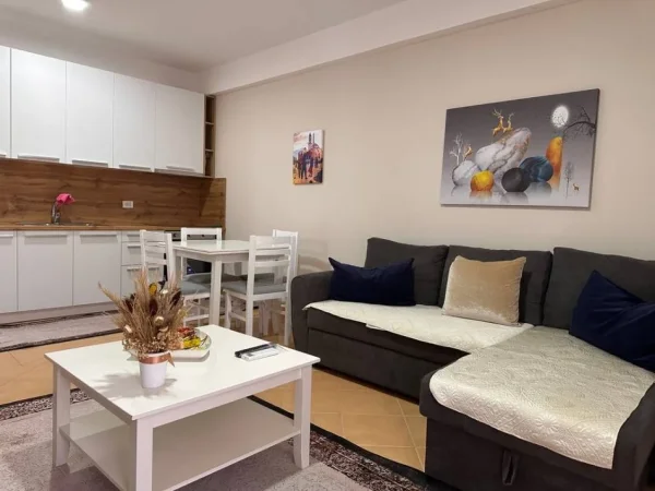 Tirane, jepet me qera apartament 2+1 Kati 9, 95 m² 700 € (Komuna e Parisit)