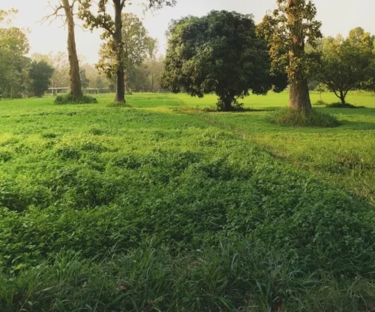 🔺️SHITET TOKE NE VISHNJE🔺️  460.000 €