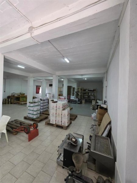 shitet-godine-2-katesh-ne-durres (8).jpeg