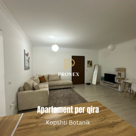 Tirane, jepet me qera apartament 1+1+Ballkon Kati 1, 70 m² 500 € (Rruga Selite e Vjeter)
