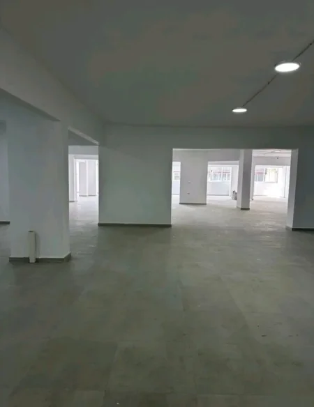 Tirane, shitet ambjent biznesi , 1.000 m² 1.500.000 € (Rruga Dritan Hoxha)