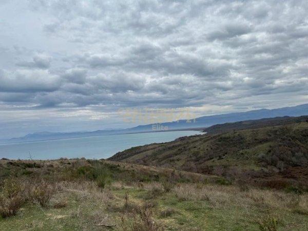 IMG_4933.jpeg