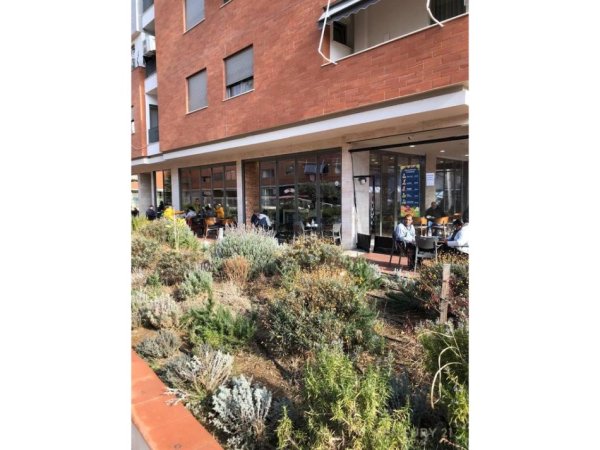 Tirane, jepet me qera bar-kafe Kati 0, 171 m² 2.500 € (Tower Bridge 3)