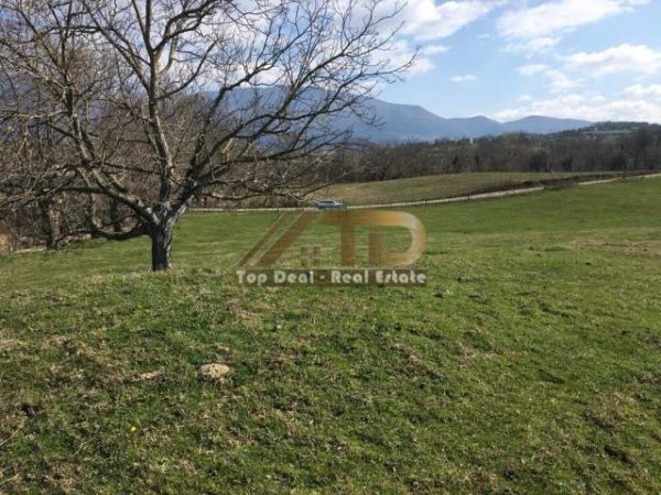 Tirane, shes toke 5.000 m² 550.000 Euro (Lunder)