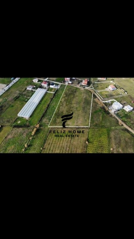 Tirane, shitet truall , 7.000 m² 700.000 € (PRUSH)