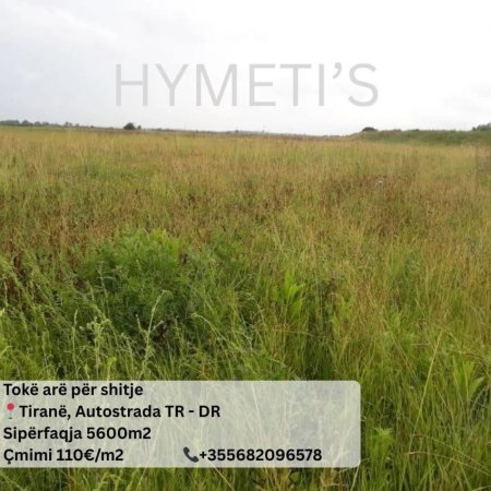 Tirane, shitet toke , 5.600 m² (Rruga e re e aeroportit)